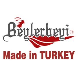 beylerbeyi-guvenlik-logo